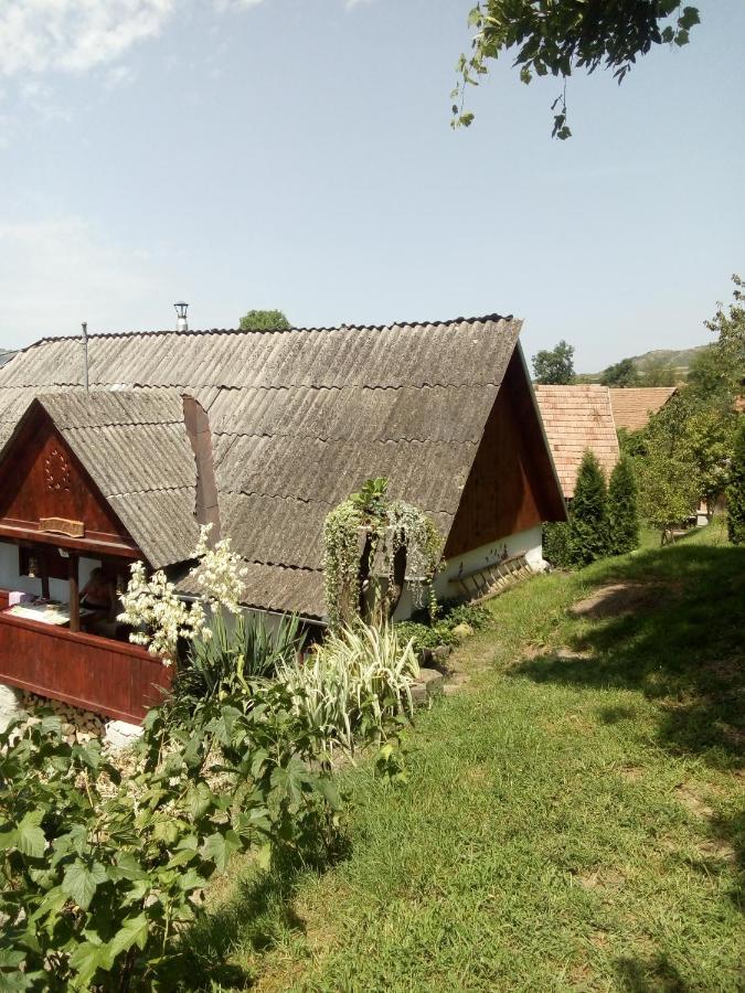 Willa Meselak Ocna de Sus Zewnętrze zdjęcie